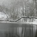 DSCN4614