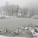 DSCN4628