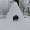 DSCN4664