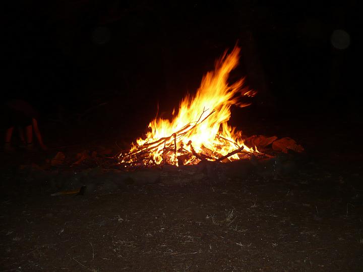 P1030168.JPG
