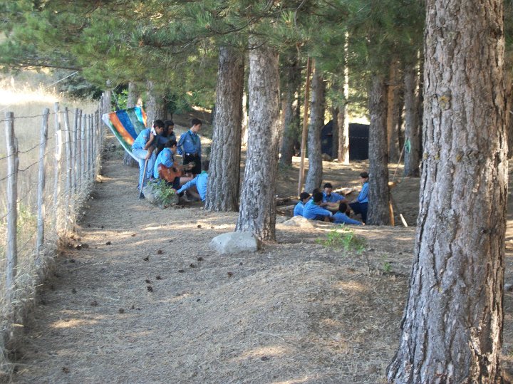 100_0828.JPG