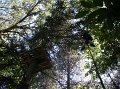 100_0560
