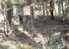 DSCN0037