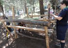 DSCN0106