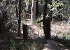 DSCN0109