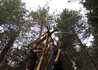 DSCN0236