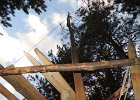 DSCN0241