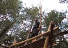DSCN0242