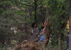 DSCN0248