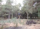 DSCN0258