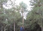 DSCN0261
