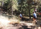 DSCN0265