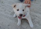 DSCN0356