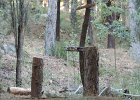 DSCN0392