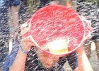 DSCN0513