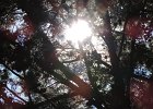 DSCN0628