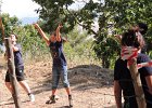 DSCN0730