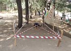 DSCN1164