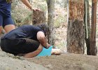 DSCN1183