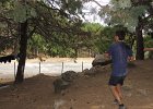 DSCN1192