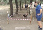 DSCN1198