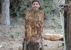 DSCN1318