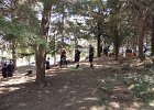 DSCN2104