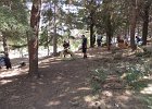 DSCN2105