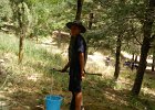 DSCN6908