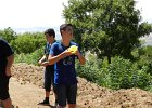 DSCN7287