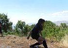 DSCN7395