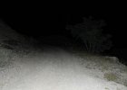 DSCN7541