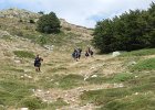 DSCN7674