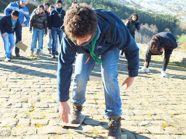 DSCF0509.JPG