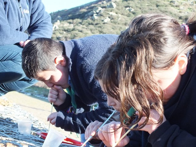 DSCF0521.JPG