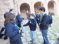 DSCF0723