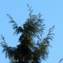 DSCN0779
