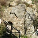 DSCN0781