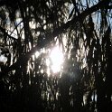DSCN0788