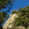 DSCN0789