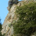 DSCN1267