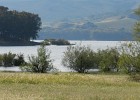 DSCN5084