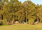 DSCN5107