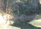 DSCN5110