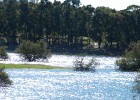 DSCN5274