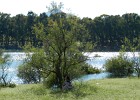 DSCN5282