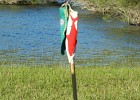 DSCN5358