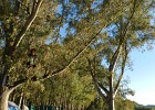 DSCN5366