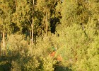 DSCN5383