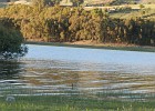 DSCN5384
